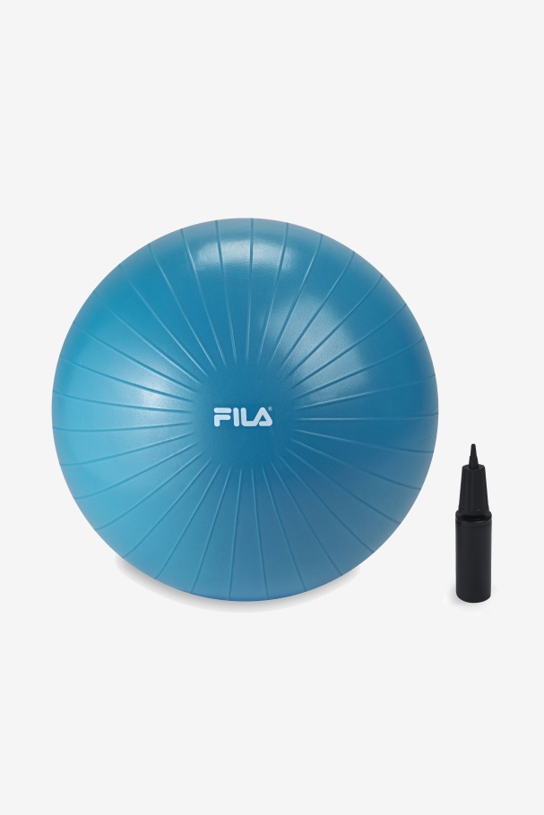 Bola De Treino De Estabilidade Fila Azul Com Bomba 55cm