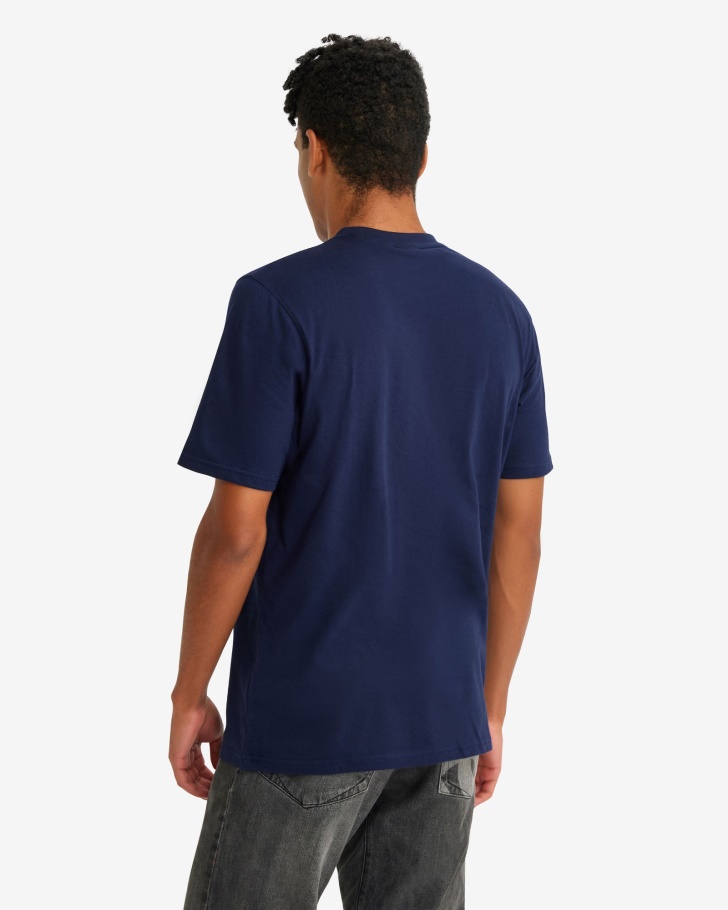 Camiseta Masculina Linha Carlos Peacoat