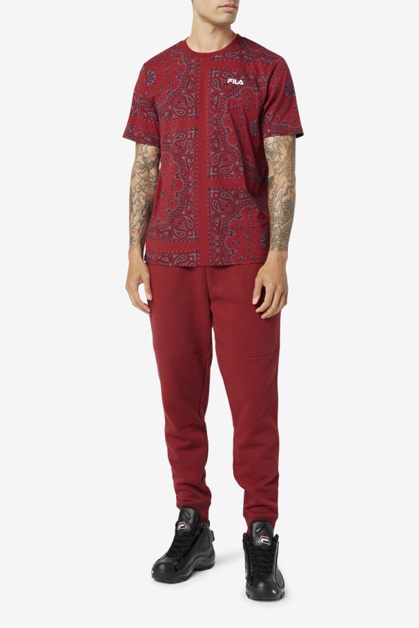 Chapéu De Ruibarbo De Chá Kensico