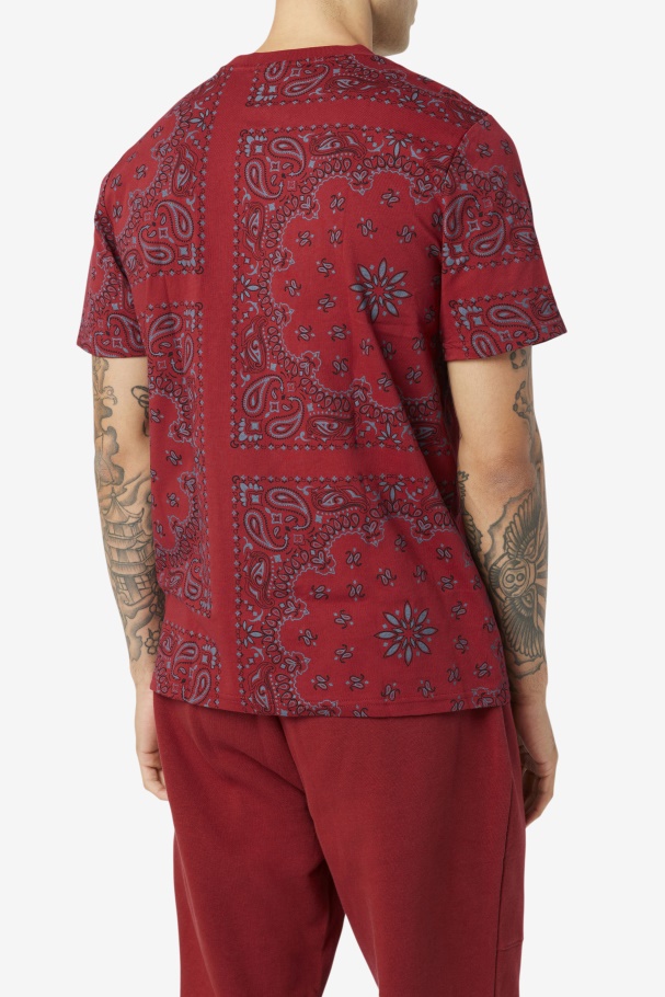 Chapéu De Ruibarbo De Chá Kensico